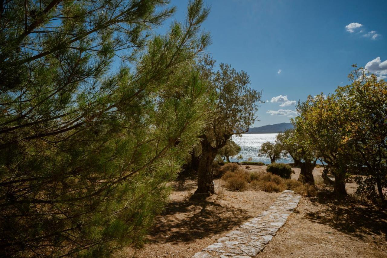 فيلا Traditional Architecture Seafront Stone House In 25000Sqm Olive Grove - C Alyfanta المظهر الخارجي الصورة